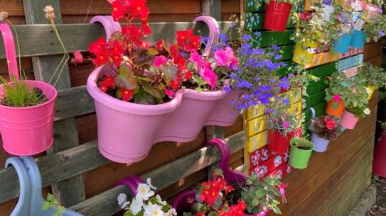 Bright and colourful plant pots