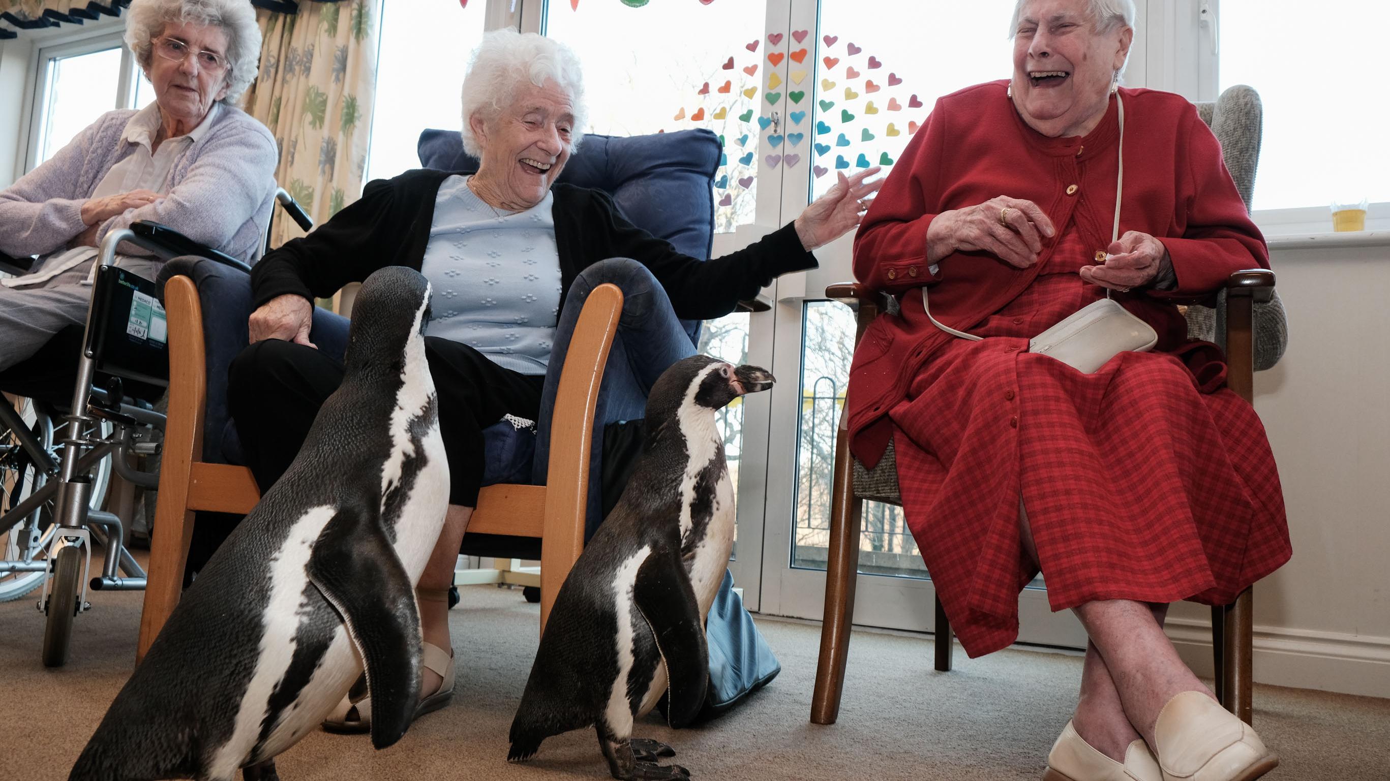 Penguins visit residents at OSJCT Spencer Court