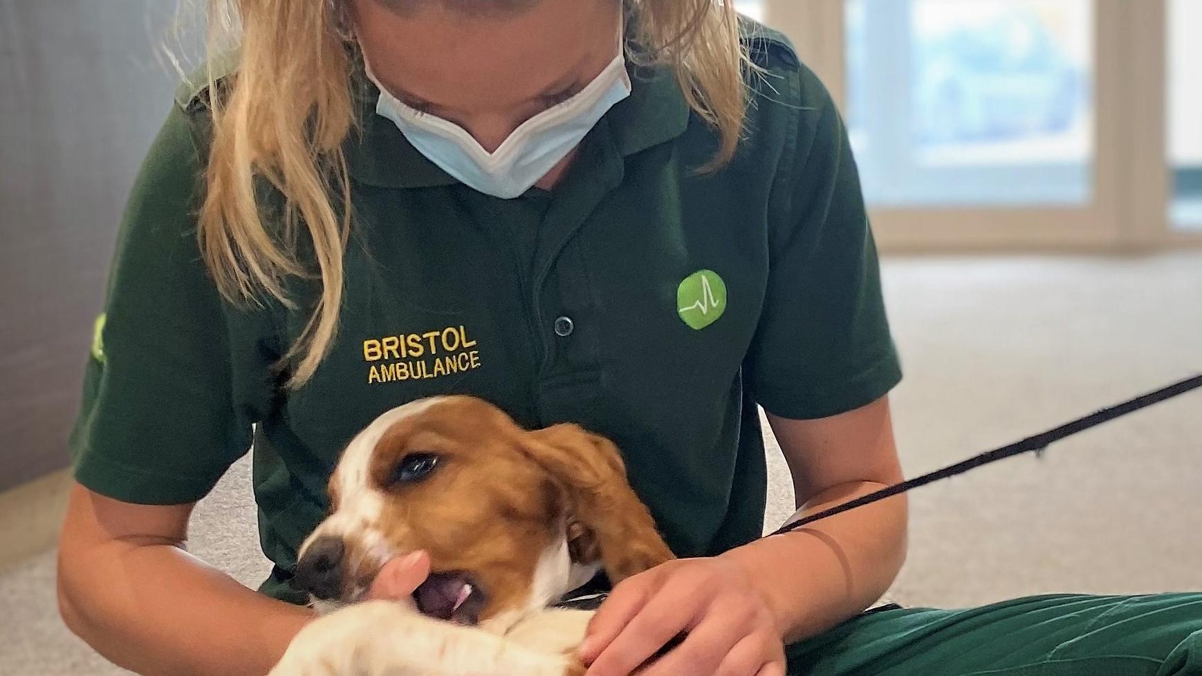 Watson at Grace Care Centre