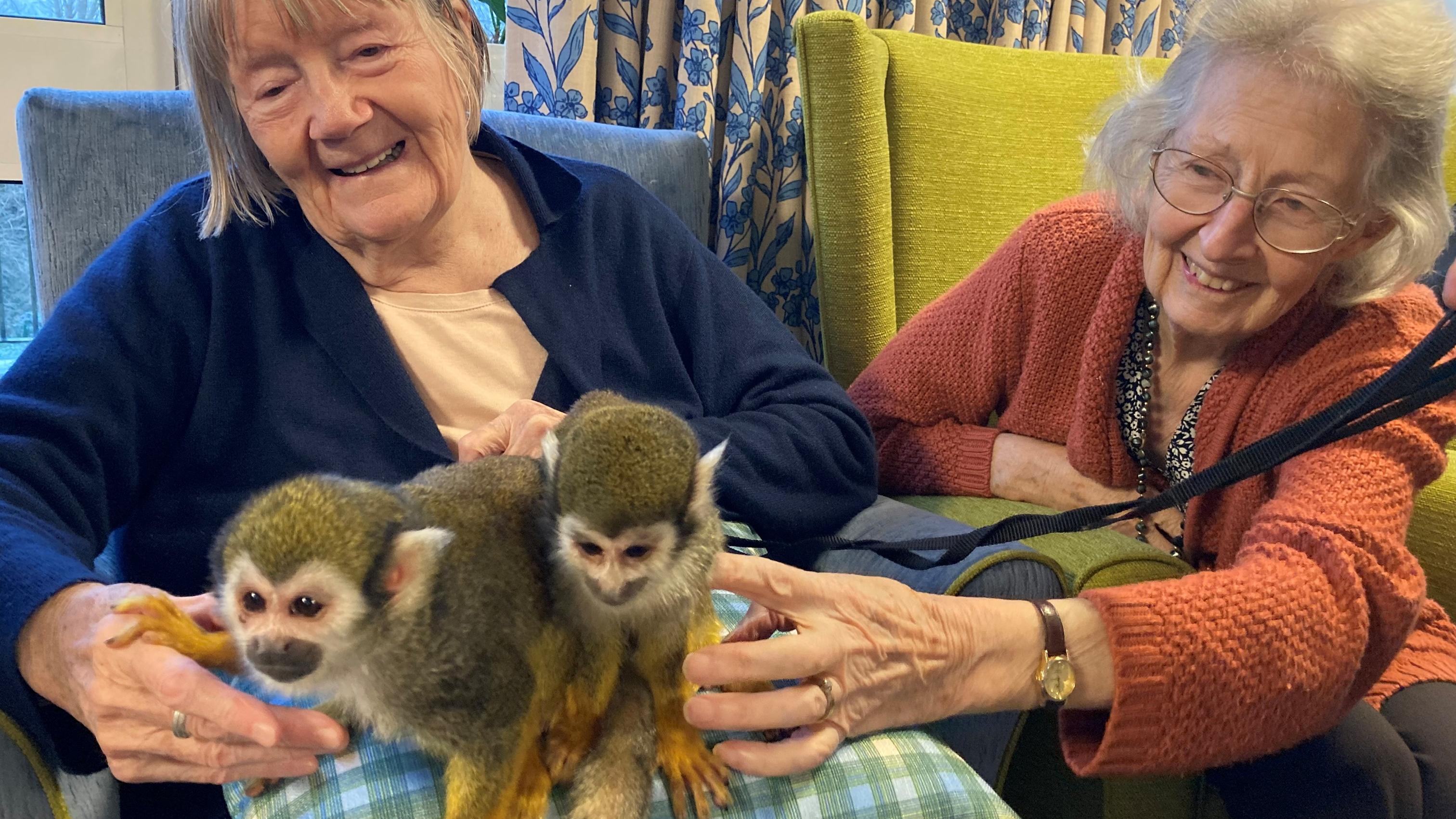 Georgie Babic and Jean Wilson enjoy a visit by monkeys to Spencer Court