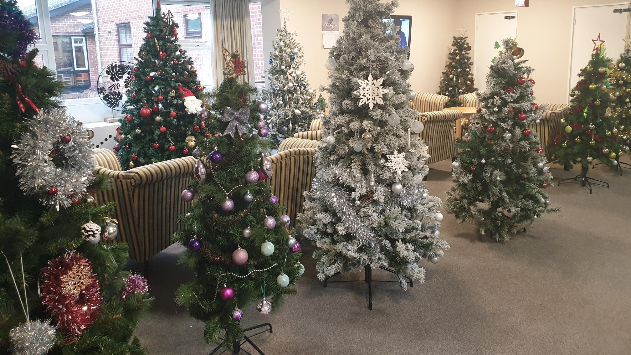 a 'forest' of decorated Christmas trees