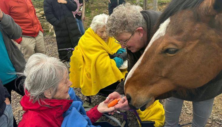 Marden Court and Jamie’s Farm