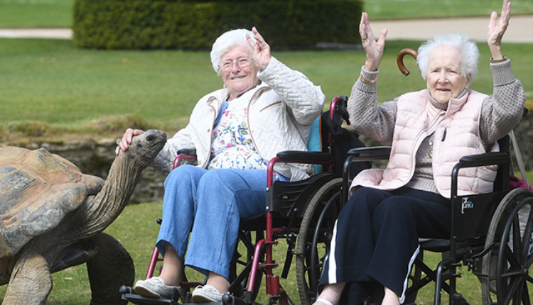 The Lakes - Cheering from the sidelines at Cotswolds Wildlife Park