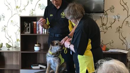 Edwardstow animal therapy