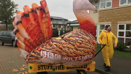 Children in Need great bustard