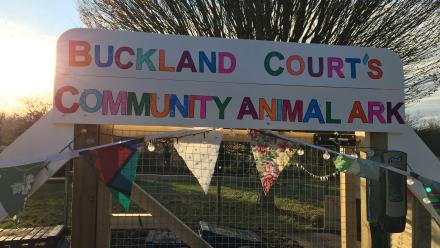 Buckland Court's animal ark