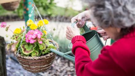 the lakes alzheimers