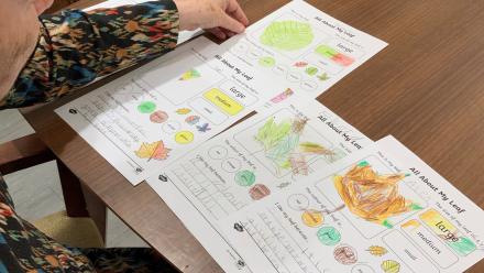 Stow colouring