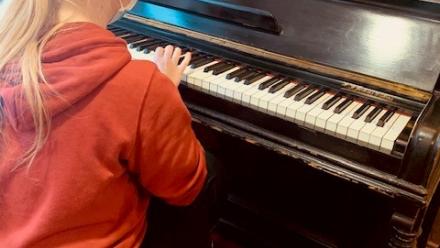 Bushtucker Trial at Windsor Street