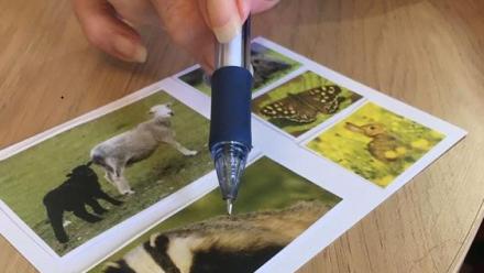 Wilts Wildlife Trust postcards