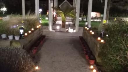 Pathway to reflection