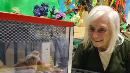 Our residents loved the chicks