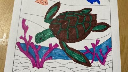 turtle day the lakes