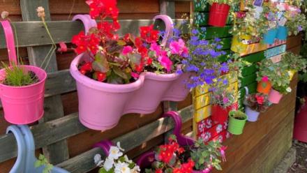 Bright and colourful plant pots