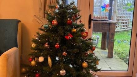 tree