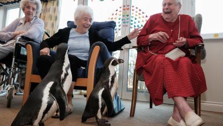 Penguins visit residents at OSJCT Spencer Court