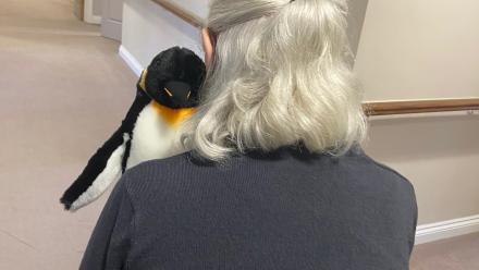 penguin day