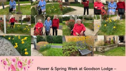 Spring collage