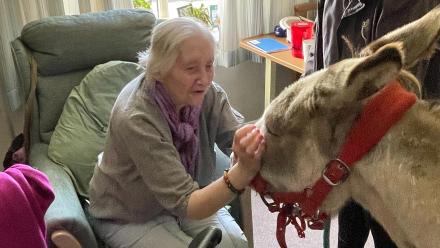 Charlie the donkey meets a resident