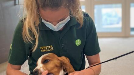 Watson at Grace Care Centre