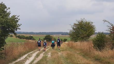 Walkers on a track with Stonehenge in the distance