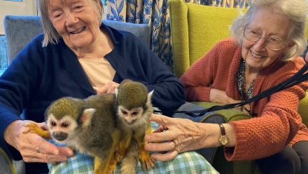 Georgie Babic and Jean Wilson enjoy a visit by monkeys to Spencer Court