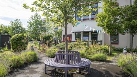 A view of the garden at Windsor Street
