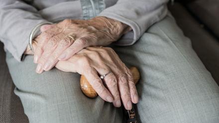 image shows hands clasped in an elderly lady's lap