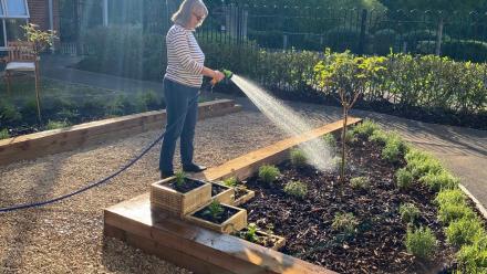 Jacquie Tothill, resident watering the new herb planters