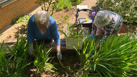 Lake House new gardening club