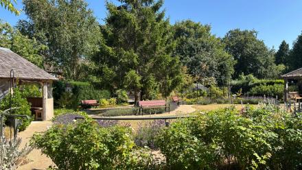 The dementia-friendly garden at lake House