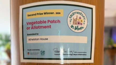 Athelstan House celebrates blooming success at Malmesbury in Bloom 2026