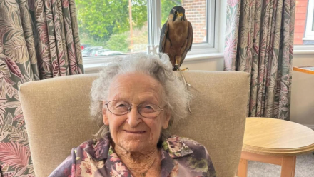 Residents at Coombe End Court in Marlborough enjoyed a very special encounter with some magnificent feathered visitors when Walks With Hawks came to the home.  The visit gave residents the opportunity to get up close to some incredible birds of prey, lear