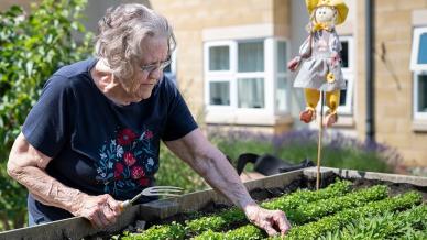 Gardening at Apple Trees